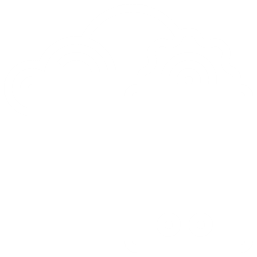 Container Management